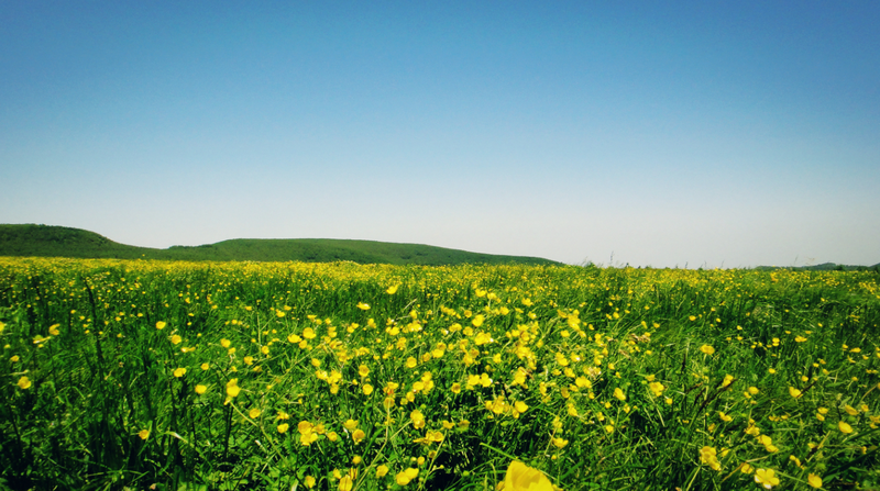 山西省文化和旅游资讯网